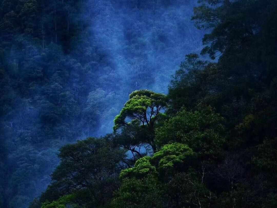 粉色凯蒂屋逃脱